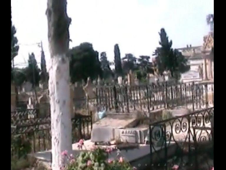 ORAN TAMAZOUHET 11.jpg
